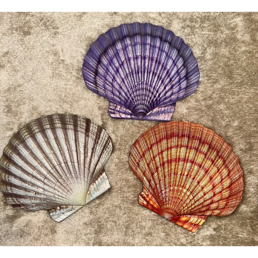 Tropical Wall Art Beach Themed Decor Seashells Nautical Ocean